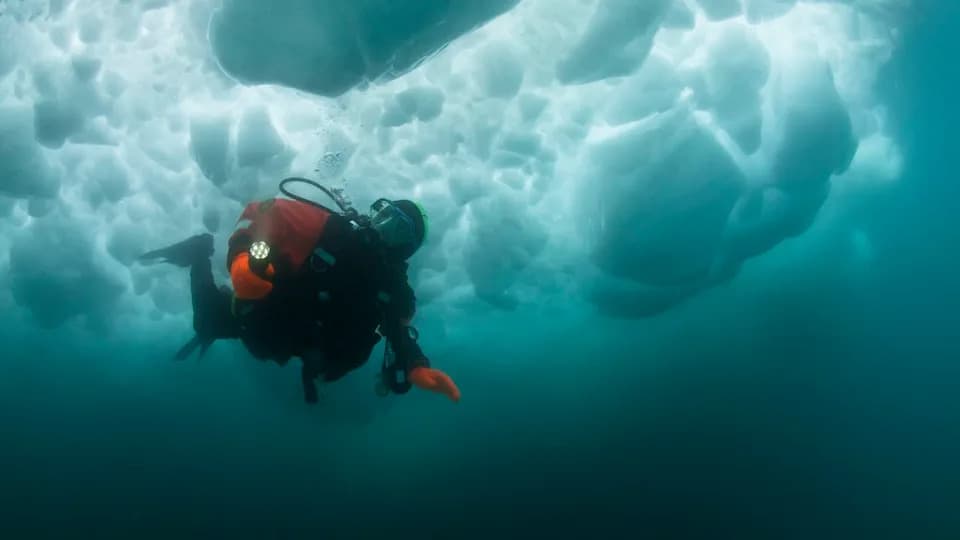 Beringski kopneni most pod morem: mogu li arheolozi otkriti skrivene tragove prvih doseljenika?