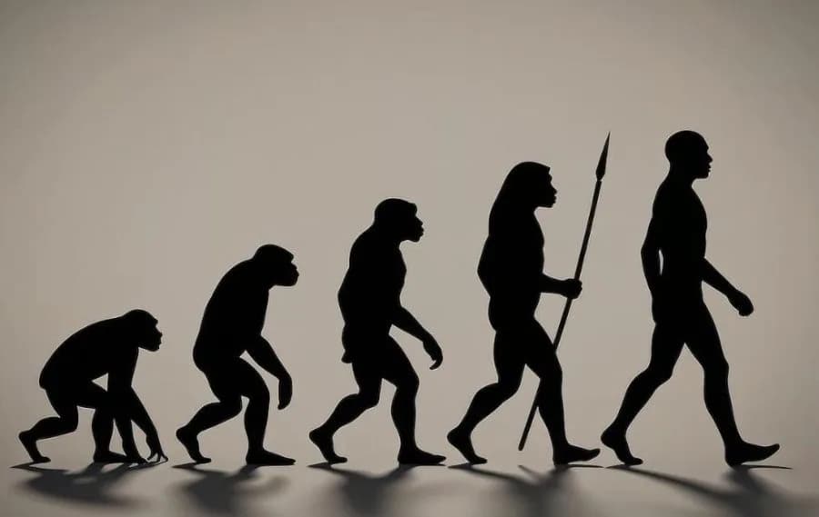 Studija otkriva: Dve male genetske izmene koje su omogućile ljudski hod na dve noge