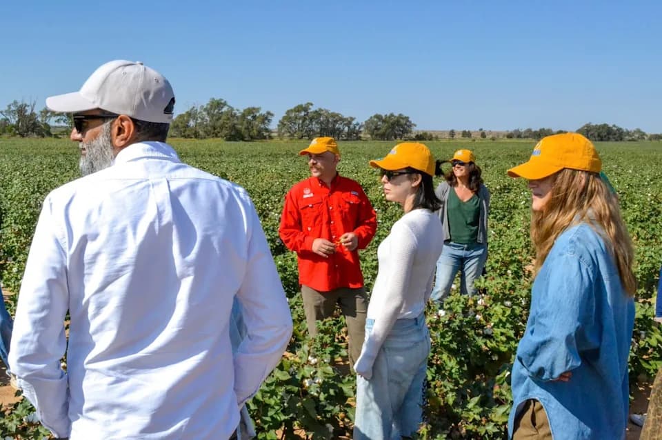 Avalo razvija klimatski otporniji pamuk u Teksasu koristeći genetsku raznolikost i AI