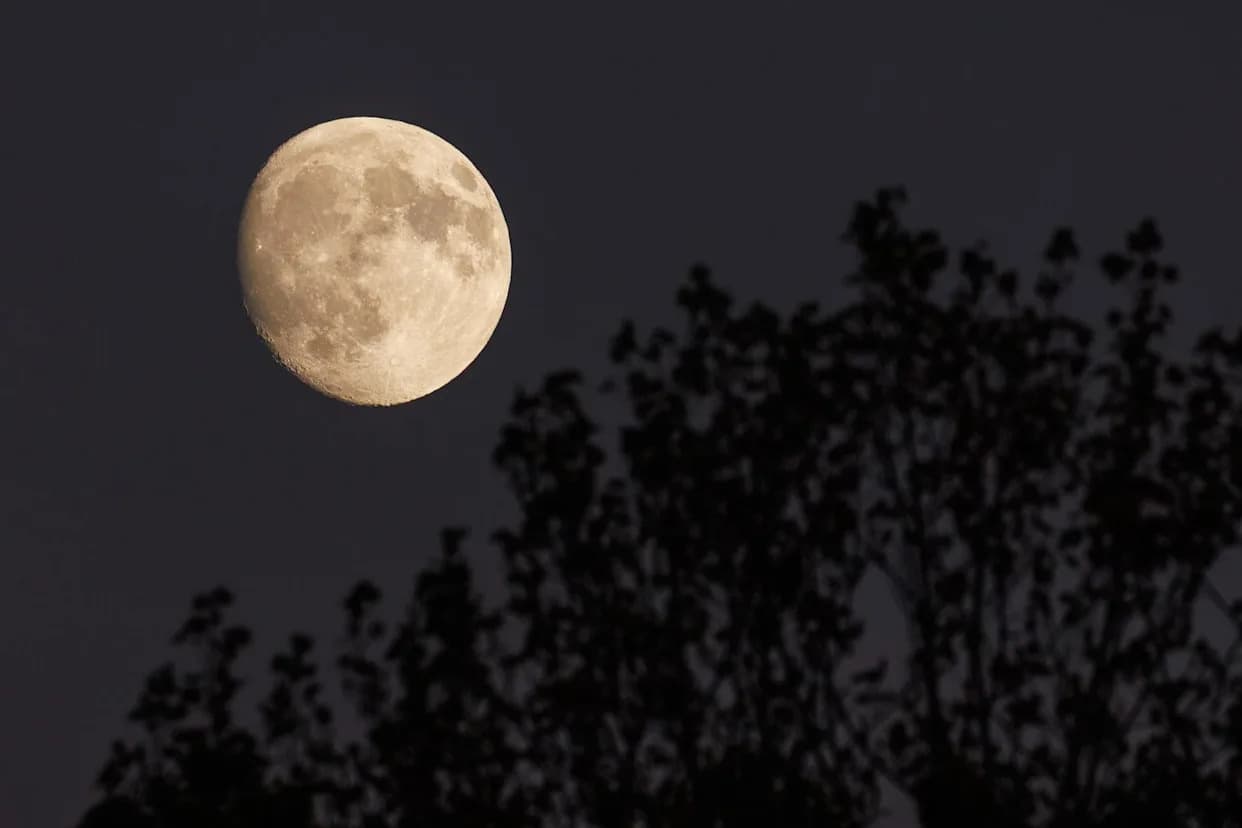 Beaver Moon stiže 5. novembra 2025. — najveći i najsjajniji supermesec u 2025.