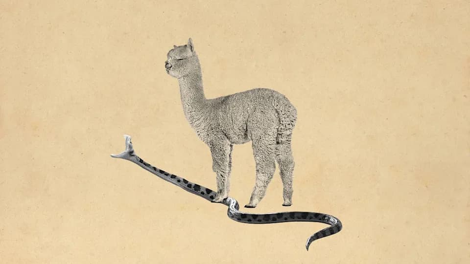 Proboj u lečenju ujeda zmija: širokospektralni antitoksin deluje na 17 afričkih elapida