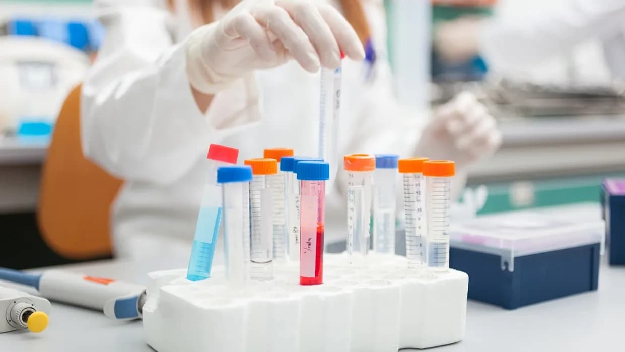 Avant i SGAustria pokreću Insulinova — nova nada u terapiji dijabetesa zasnovanoj na matičnim ćelijama