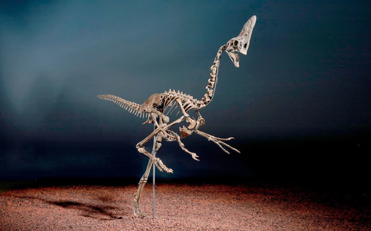 Jedan od poslednjih dinosaurusa: skoro kompletan „Spike“ ide na aukciju u Christie’s — počinje od £3m