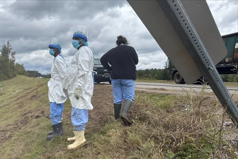 Drama kod Misisipija — poslednji pobegli rhesus majmun uspavano uhvaćen nakon sudara kamiona