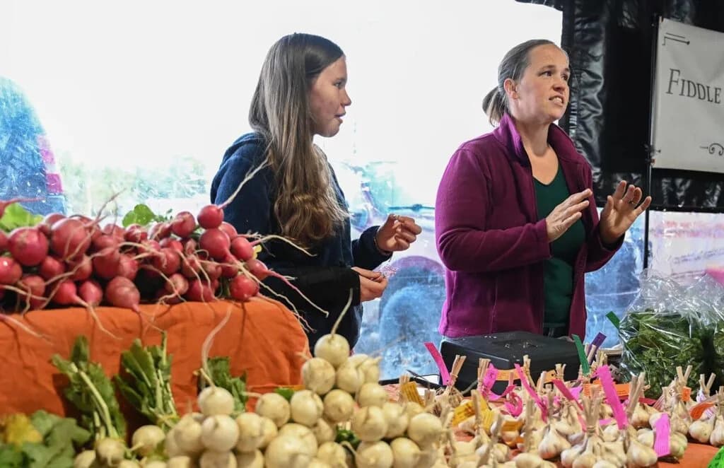 Male raznovrsne farme bez sigurnosne mreže: zašto osiguranje favorizuje velike plantaže