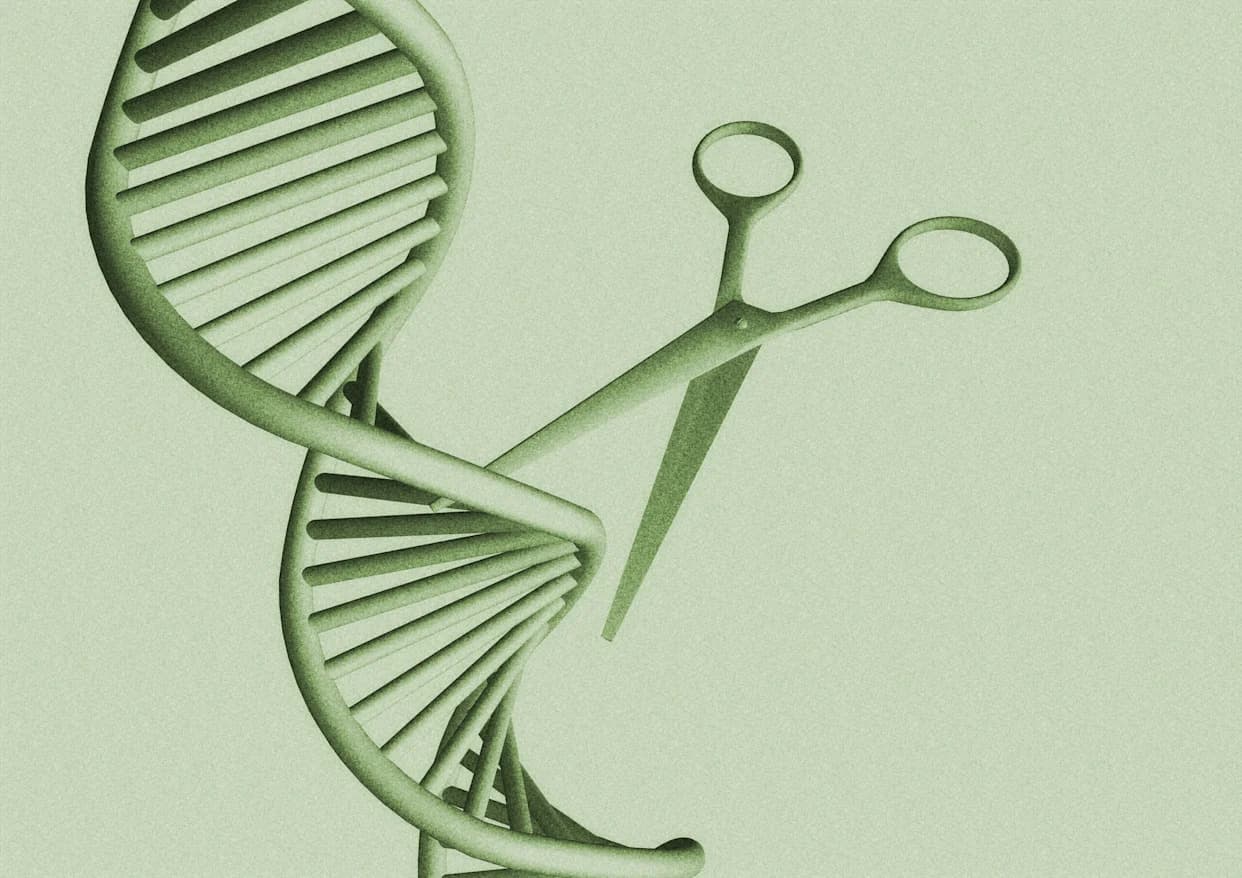 Jednokratna CRISPR terapija smanjuje LDL i trigliceride — obećavajući rezultati male studije