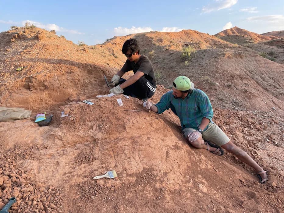 Fosilizovana jaja kao vremenski pečat: nova U‑Pb metoda menja datovanje dinosaurusa