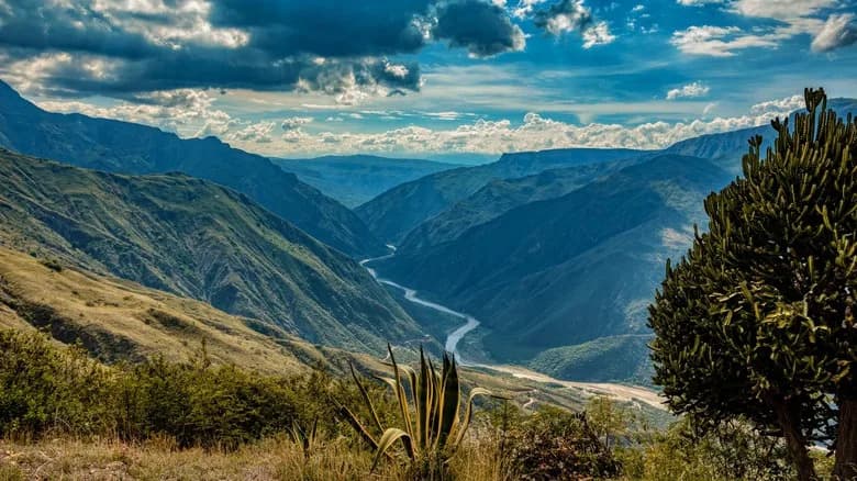 Tajanstveni ostaci sa Bogote otkrivaju 6.000-godišnju, zaboravljenu gensku granu