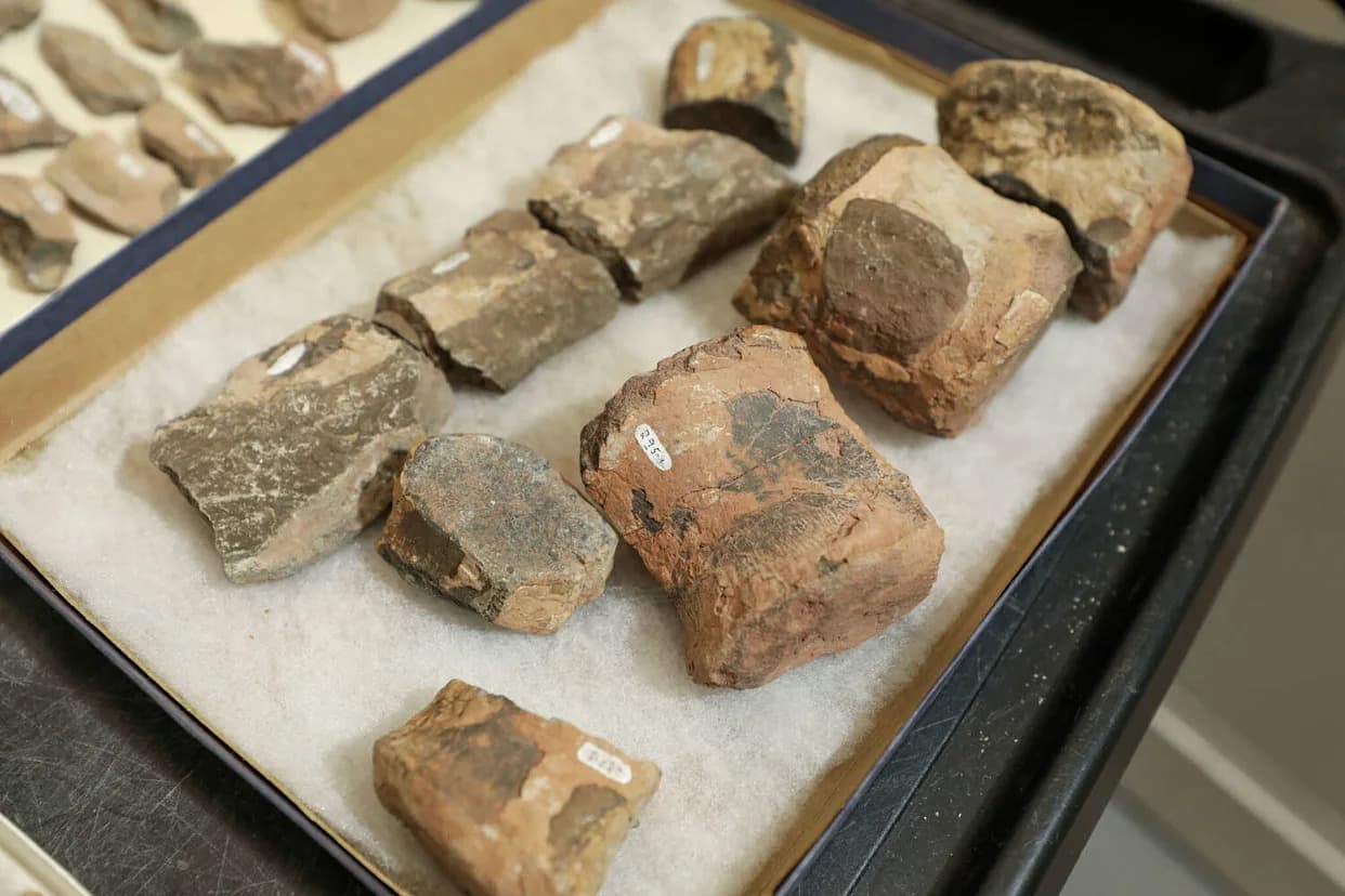 Retki fosili Tenontosaurusa u zapadnom Teksasu pomeraju granice vrste