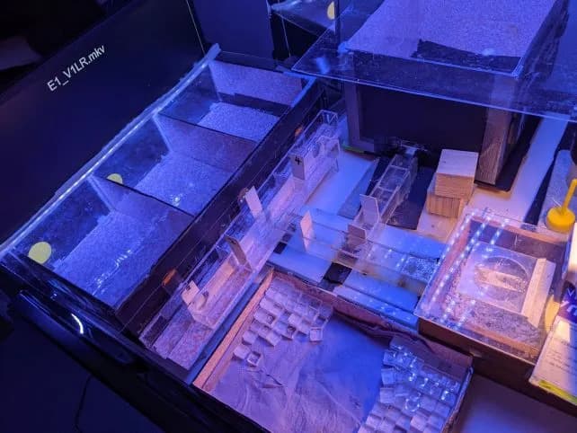 Bumbari naučili „Morse“: Bombus terrestris razlikuje kratke i duge bljeskove svetla