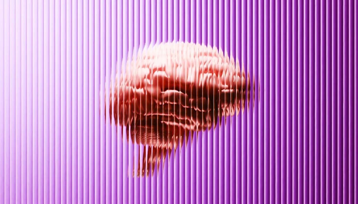 Otkriven izvor anksioznosti u amigdali — naučnici pokazuju kako ga je moguće preokrenuti