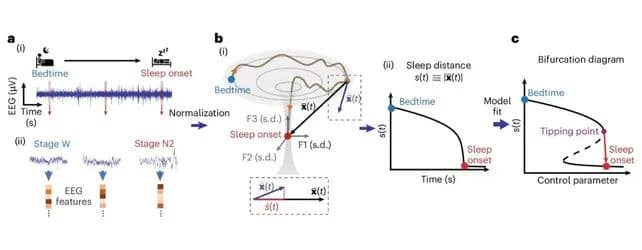 Otkrivena „tačka preloma“ pre sna — mozak naglo prelazi u san oko 4,5 minuta pre zaspavanja