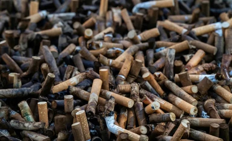 Opušci u žiži: WHO razmatra zabranu plastičnih filtera na 11. zasedanju FCTC u Ženevi