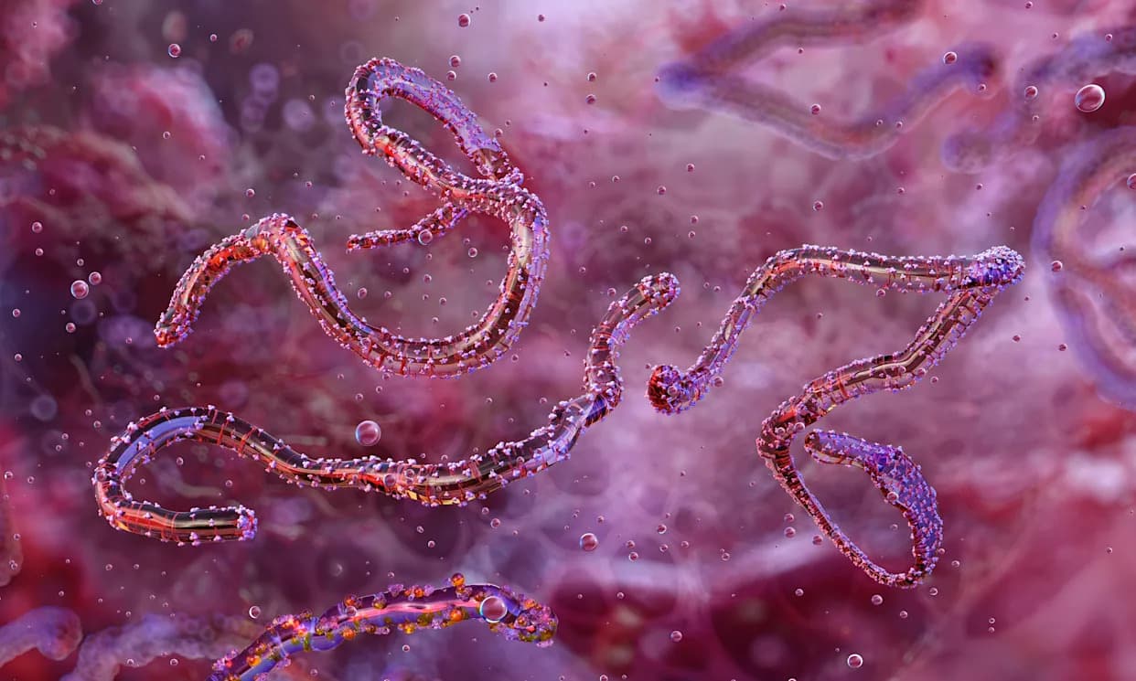 Etiopija potvrdila prvo izbijanje Marburgove groznice — devet slučajeva u regiji Omo