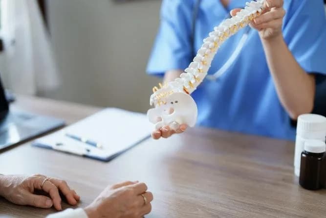 Matične ćelije iz masnog tkiva obnavljaju prelome kičme: obećavajuća minimalno invazivna metoda