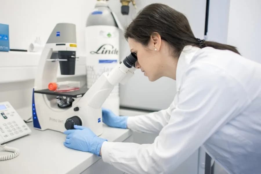 Bakterije u tumorima mozga: neočekivani nalaz koji menja razumevanje bolesti