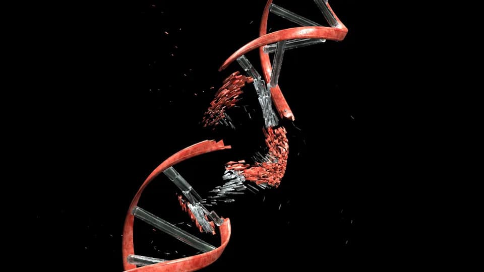 CTE otkriveno: kako ponovljeni udarci i upala bombarduju DNK neurona