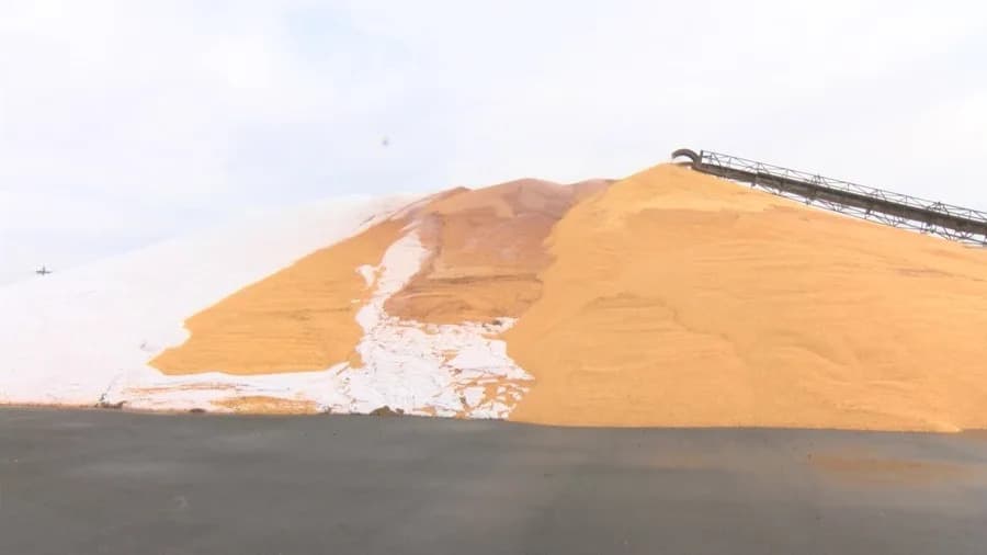 Neverovatna scena: 24 miliona funti kukuruza nagomilano na parkingu u okrugu Outagamie