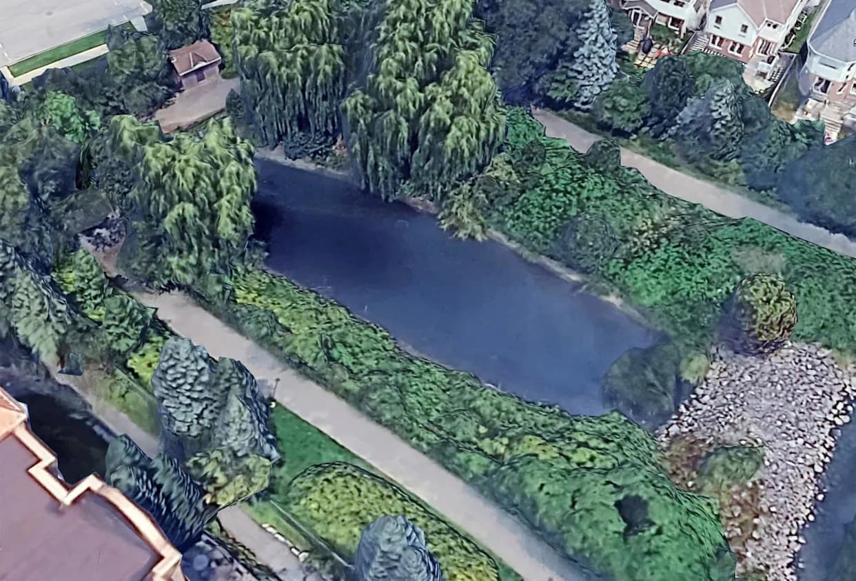 Hiljade divljih zlatnih ribica u Otavi: grad pokreće masovno uklanjanje