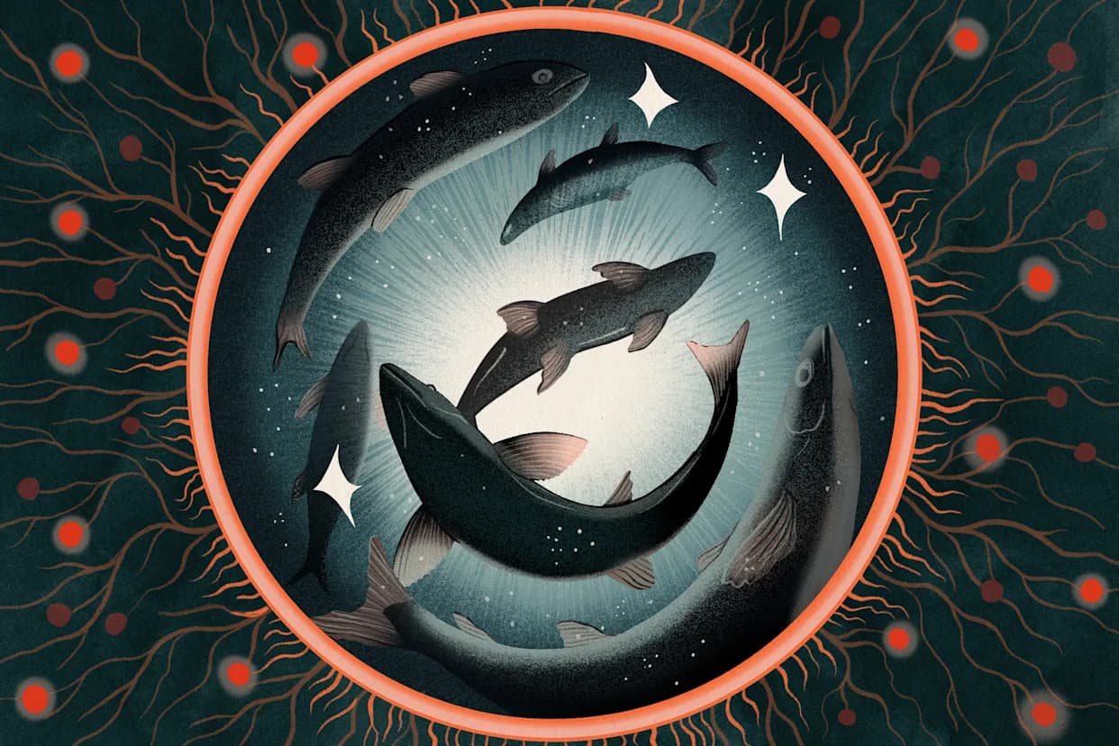 Da li ribe osećaju bol? Naučna i etička debata koja menja pogled na vodeni svet