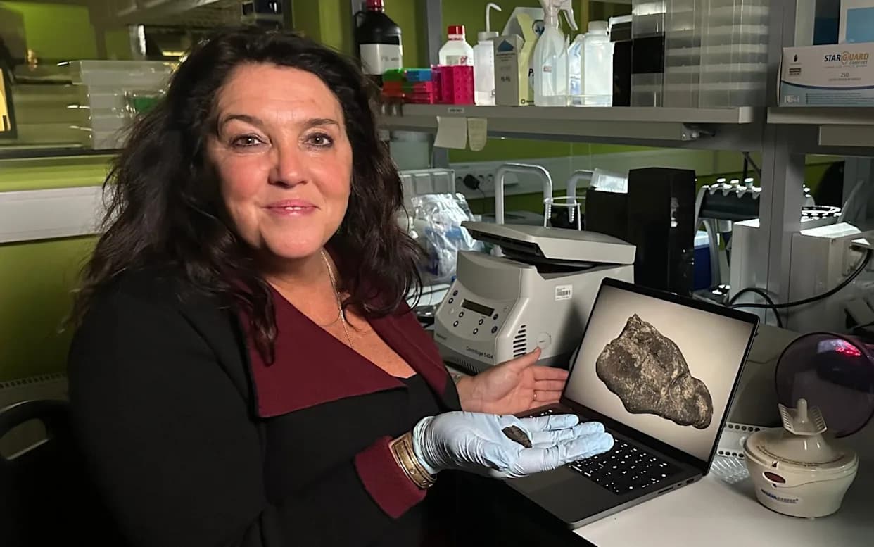 Kamenodobna „žvaka“ stara 10.500 godina: DNK otkriva da ju je žvakala tinejdžerka