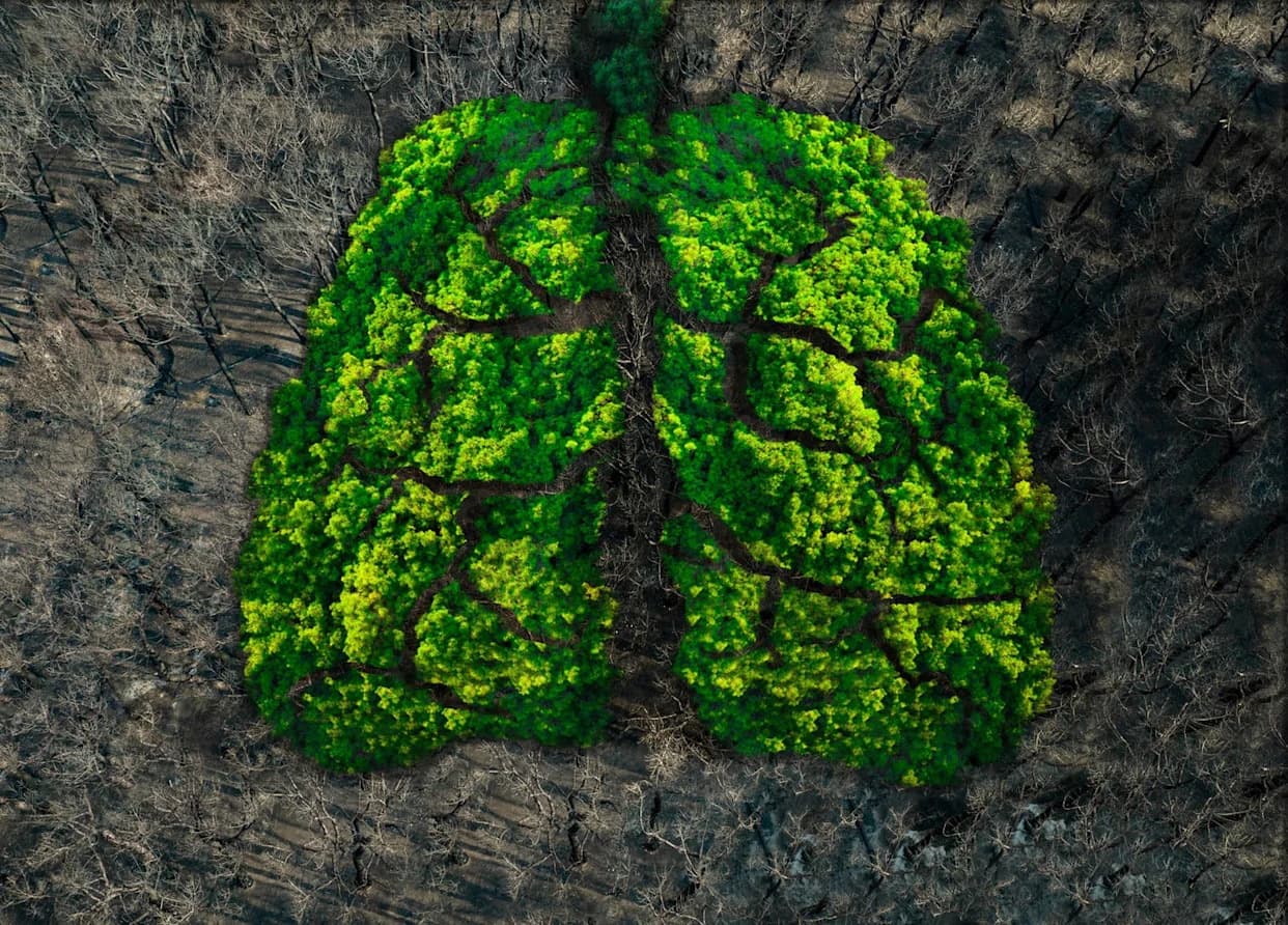 Naučnici pomerili granicu: hemijski tragovi života stari do 3,3 milijarde godina