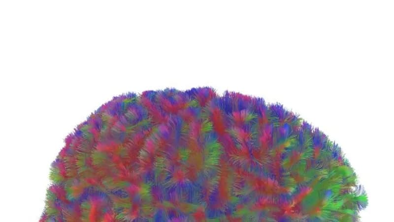 Kako se mozak preuređuje kroz život: pet epoha i četiri ključna preokreta