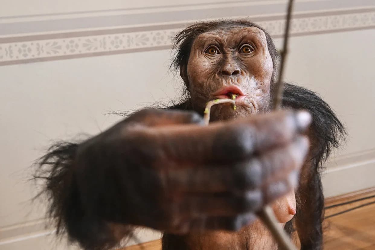 Burtele stopalo otkriva drugog ranog rođaka Lusi — majstor penjanja star 3,4 miliona godina