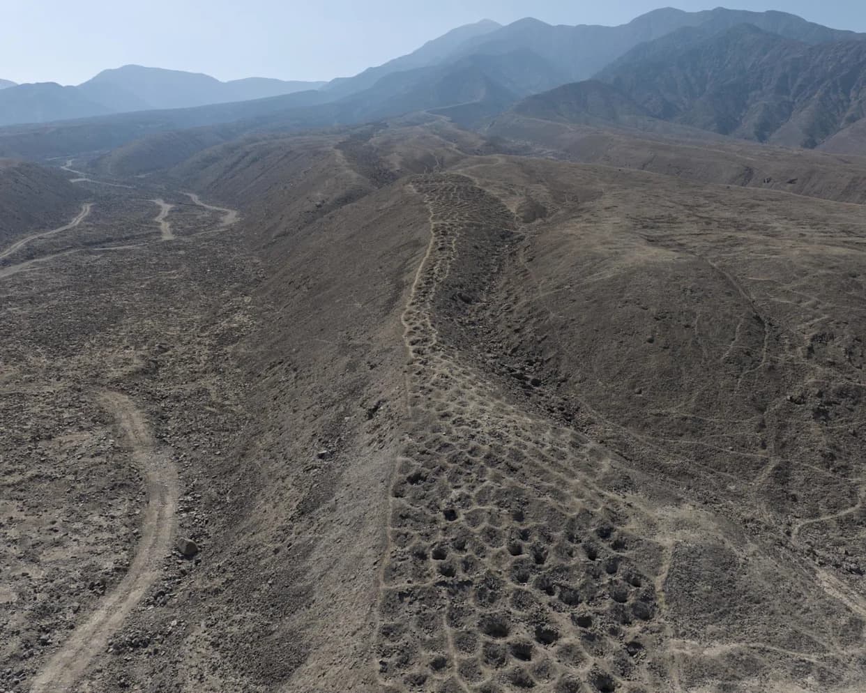 Profesor iz Floride možda razjasnio tajnu peruanskog „Pojasa rupa“ — dronovi i mikro-botanika otkrivaju namenu