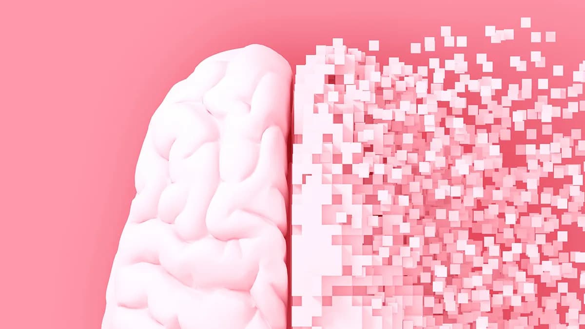 Povećanje proteina Sox9 budi astrocite i poboljšava pamćenje kod miševa