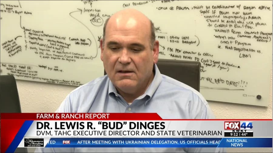 Upozorenje za poljoprivrednike: Novosvetska "screwworm" muha preti stoci — saveti Maika LePointa