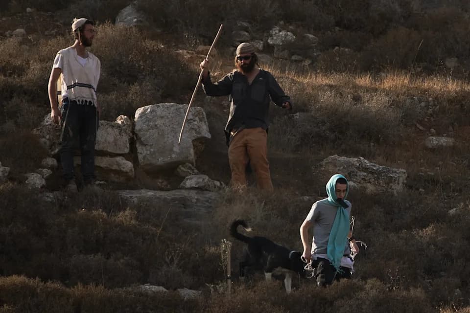 Berba maslina na Zapadnoj obali završena, ali strah ostaje — sela pod pritiskom naseljenika