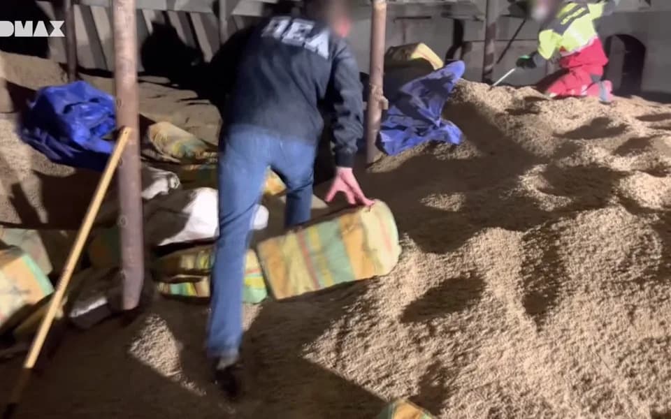 Kokainske krave: Kako karteli koriste brodove sa stokom za krijumčarenje droge u Evropu