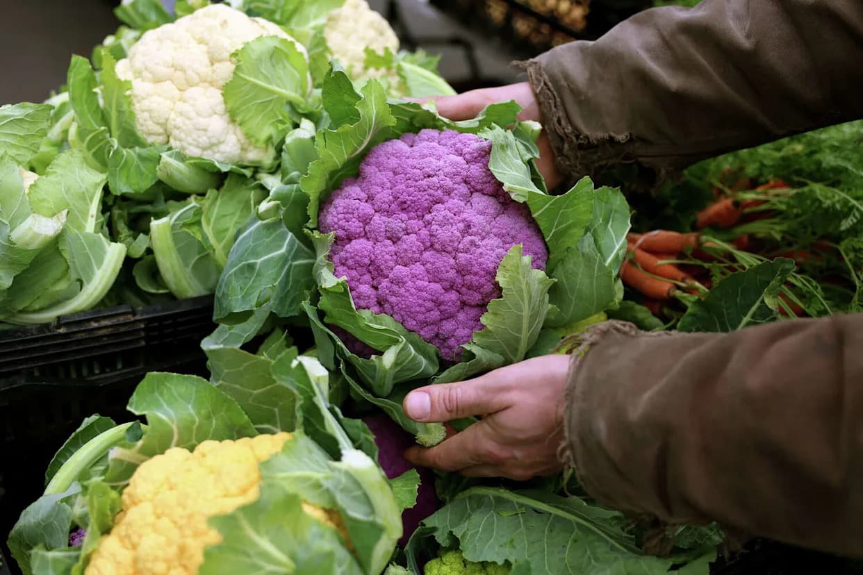 Dolaze li u Kaliforniju novi PFAS pesticidi? Šta treba da znate
