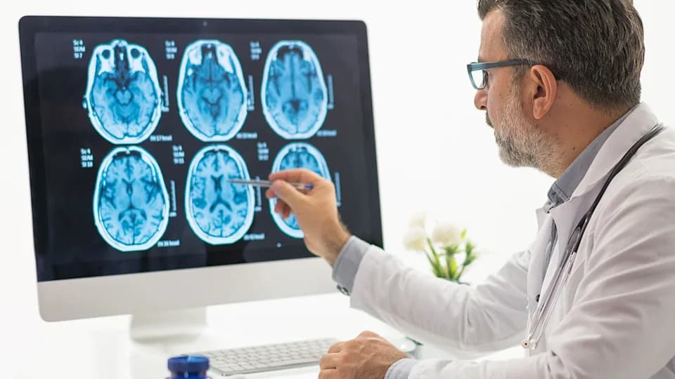 Vaš mozak ne stari kako mislite — otkrivene su pet glavnih epoha kroz život