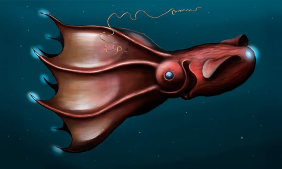 Gigantski genom Vampyroteuthis infernalis razotkriva tajne evolucije hobotnica