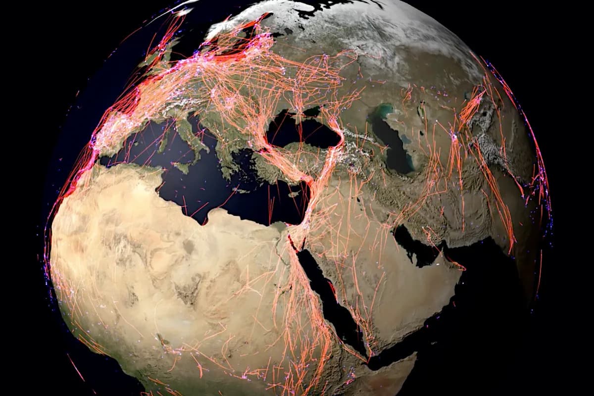 ICARUS Ponovo U Svemiru: „Internet životinja” Šalje Preciznije Podatke O Divljim Vrsta