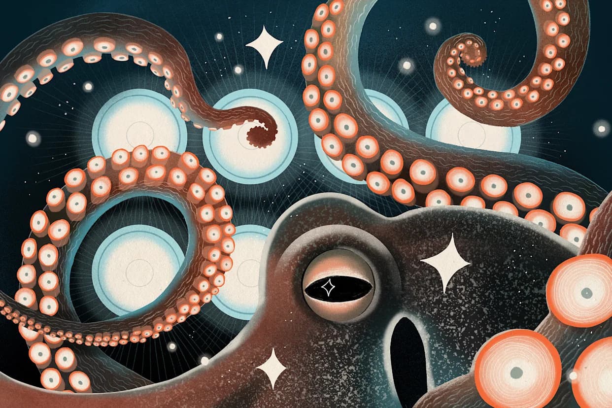 Prva svetska farma hobotnica na pragu: zašto naučnici i aktivisti traže zabranu