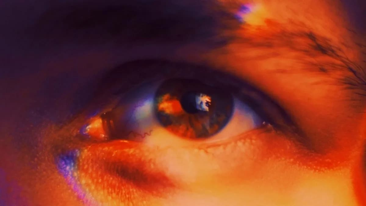 Nestaje Li Y Hromozom? Šta Znače Računice Jenny Graves i Novi Dokazi