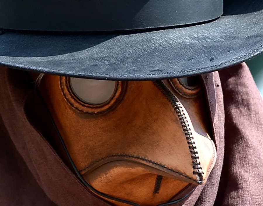 Nova studija: Tropska vulkanska erupcija 1345. mogla je pokrenuti Crnu smrt u Evropi