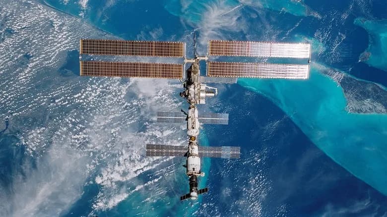 Mahovina Preživela 283 Dana Na Spoljašnjosti ISS — Šta Su Naučnici Otkrili