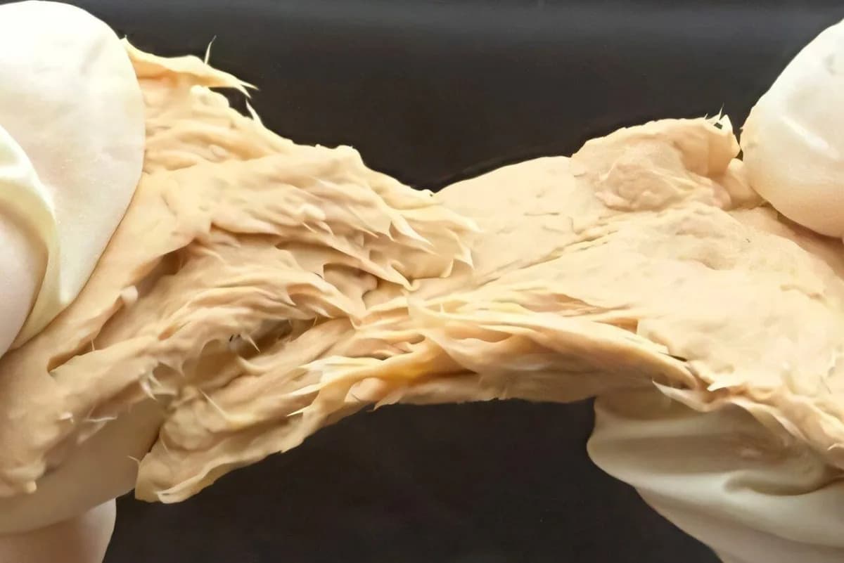 Genetski Poboljšano „Gljivino Meso” Moglo Bi Postati Jeftina Zamena Za Piletinu