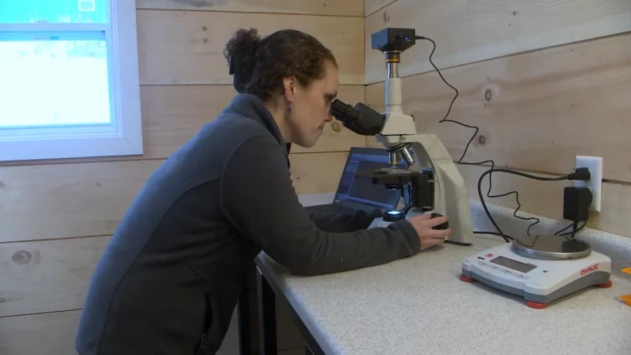 Startap Iz Vermonta Pomaže Stočarima: Brzo Testiranje Parazita Na Licu Mesta