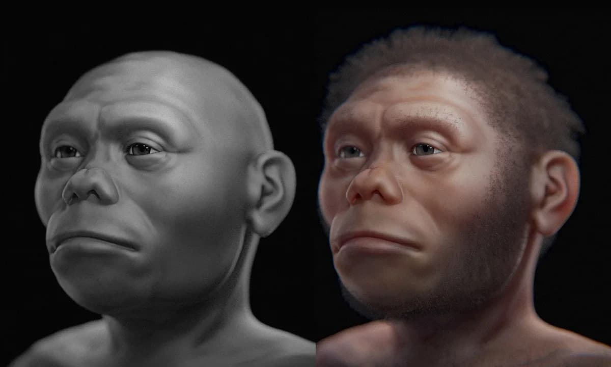 Nova studija: Dugotrajna suša mogla je da uništi „hobite“ s Floresa