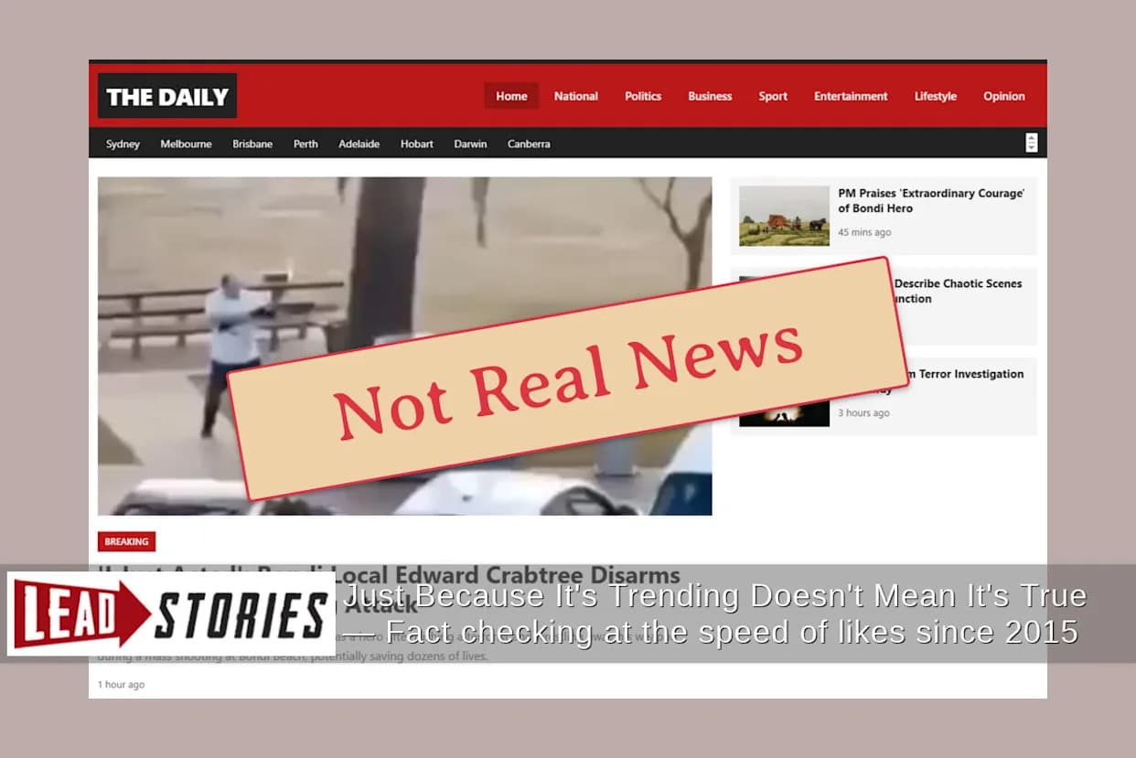 Provera činjenica: Lažni 'Edward Crabtree' — Heroj s Bondi plaže je Ahmed al Ahmed