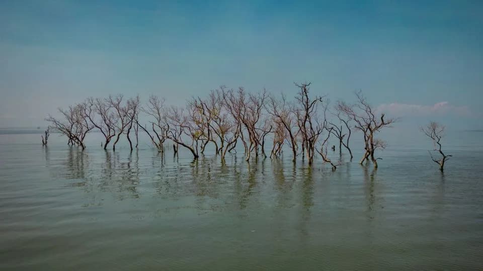 GloSAT Pomera Granicu: Novi Podaci Pokazuju Da Je Zemlja Hladnija Pre 1850. — Šta To Znači Za Klimu?