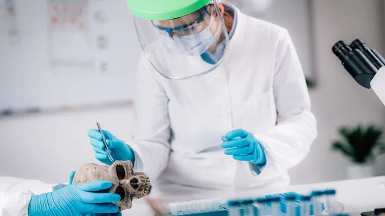 Oživljavanje Drevnog Gena: CRISPR Uveo Urikazu u Ćelije Jetre, Mogući Novi Put Za Tretman Gihta