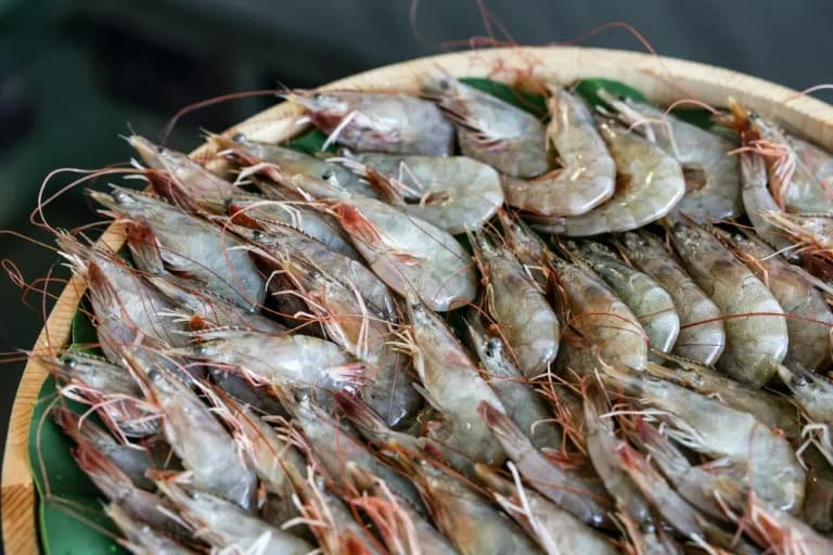 Tajvan i Honduras: Moguć Povratak Diplomatskih Veza Koji Bi Oživeo Izvoz Kozica i Kafe