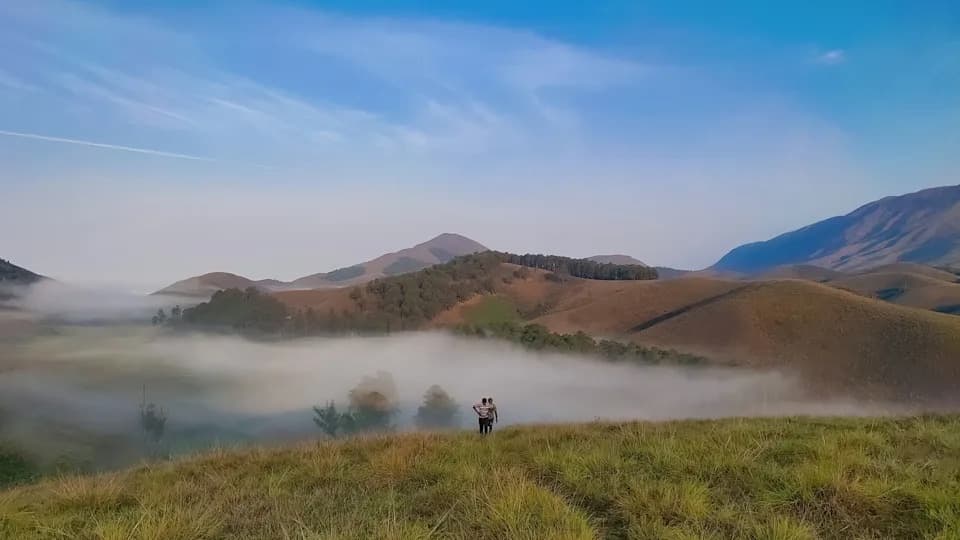 Otkriven Gekon Veličine Palca — Nova Vrsta Hemiphyllodactylus venkatadri U Istočnim Ghatima