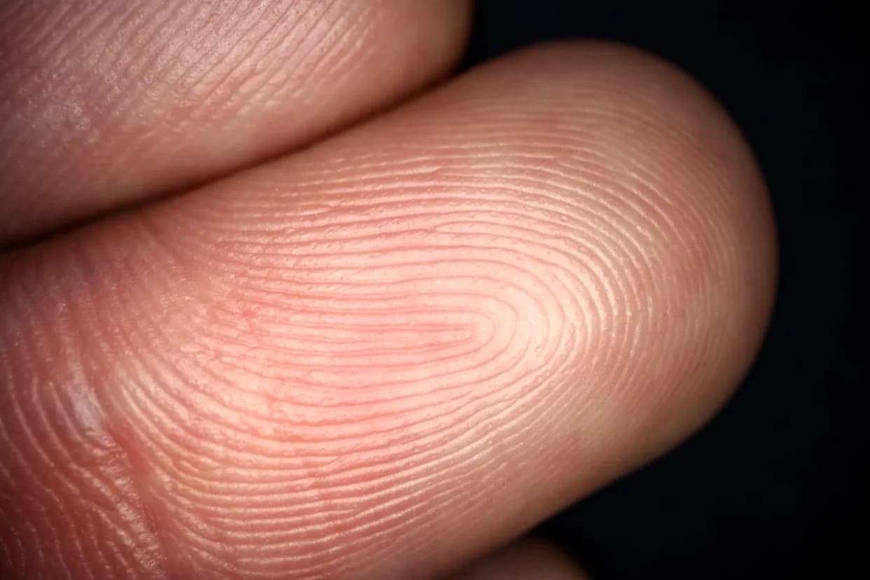 Otisak Prsta Na Najstarijem Skandinavskom Grednom Brodu Može Rasvetliti Misteriju Stare 2.000 Godina